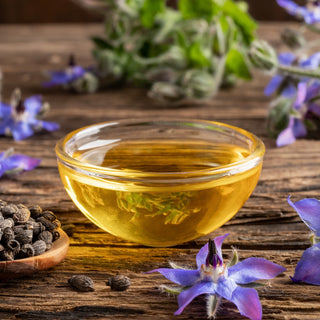 Borage Oil benefits for Acne-prone, Redness-prone, Dry, and Aging Skin