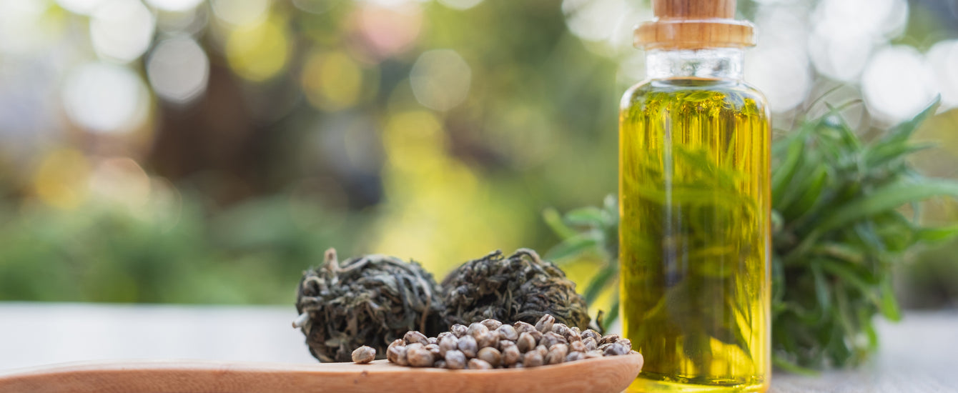 Discover the Benefits Is Hemp Seed Oil the Secret to Healthy Looking