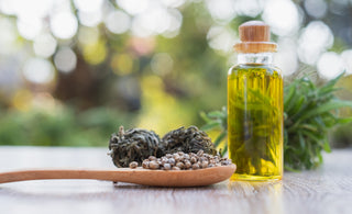 Discover the Benefits: Is Hemp Seed Oil the Secret to Healthy Looking Skin?