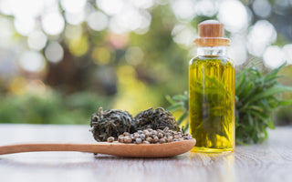 Discover the Benefits: Is Hemp Seed Oil the Secret to Healthy Looking Skin?