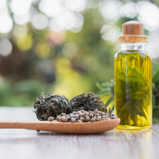 Discover the Benefits: Is Hemp Seed Oil the Secret to Healthy Looking Skin?